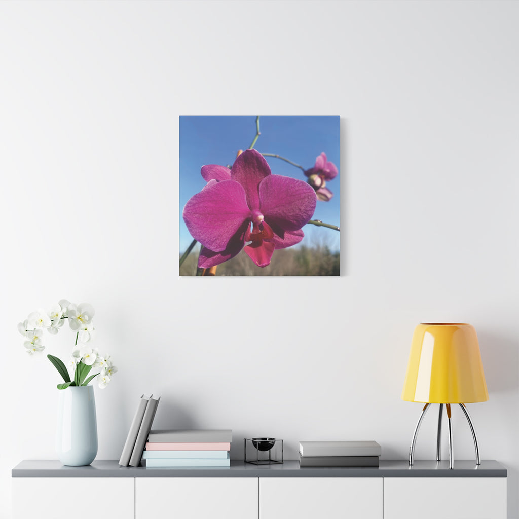 Fuchsia Orchid a Spring Photo Canvas Print — Matte Stretched 1.25"