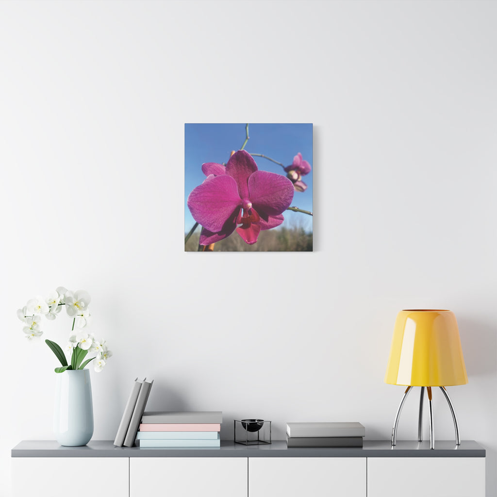 Fuchsia Orchid a Spring Photo Canvas Print — Matte Stretched 1.25"