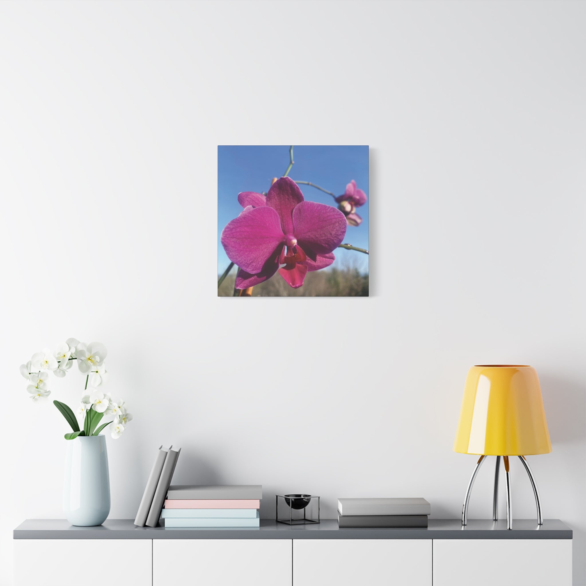 Fuchsia Orchid a Spring Photo Canvas Print — Matte Stretched 1.25"