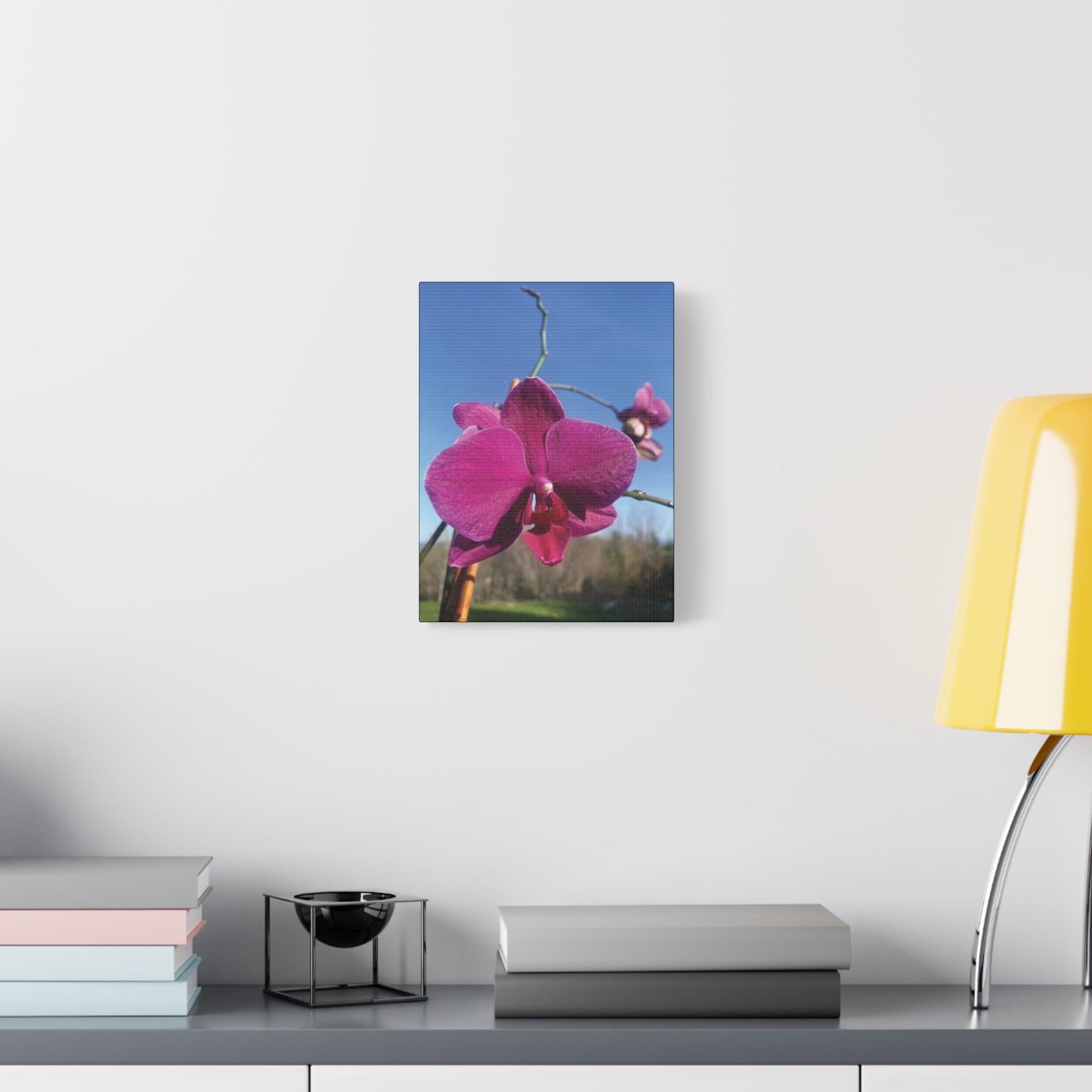 Fuchsia Orchid a Spring Photo Canvas Print — Matte Stretched 1.25"
