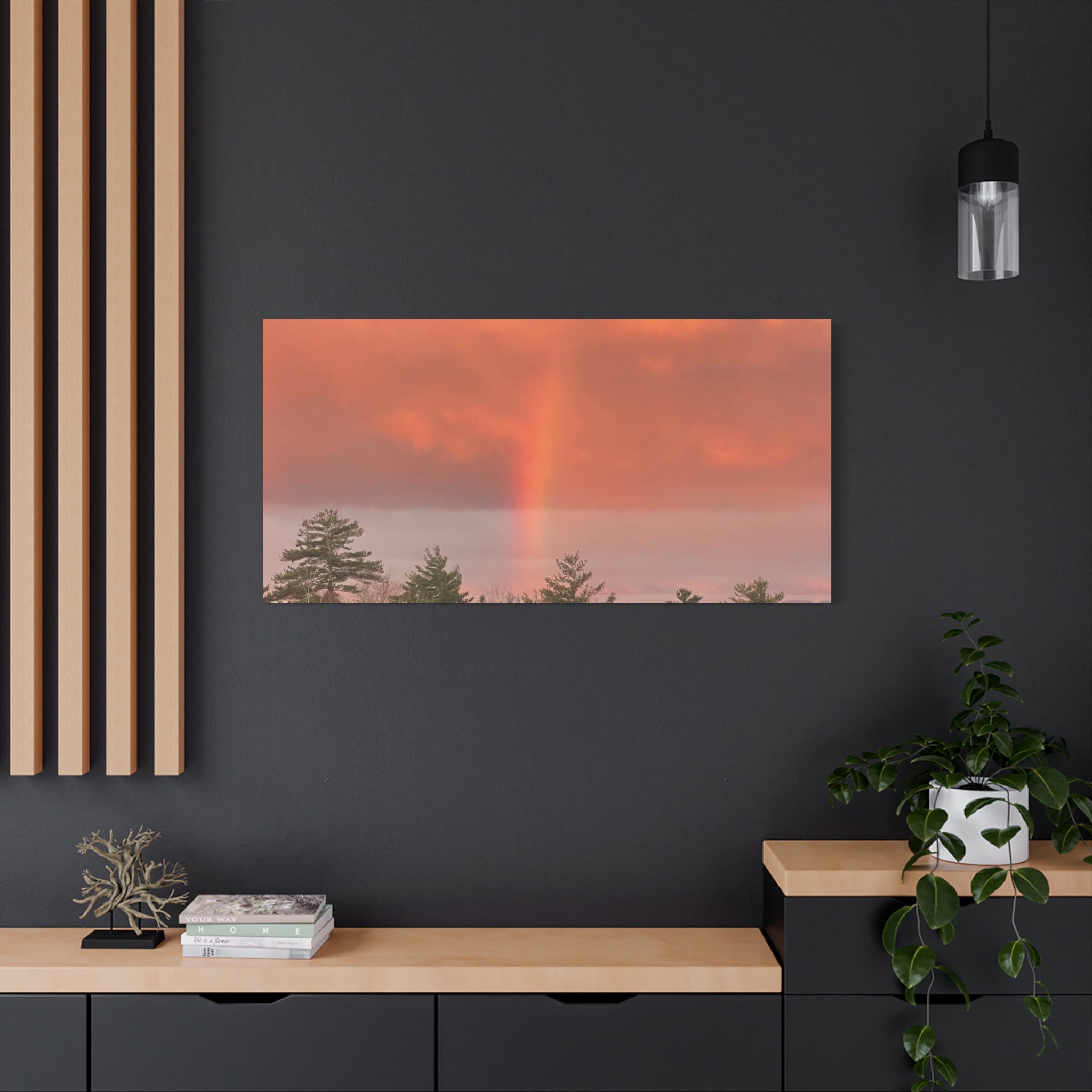Rainbow b Canvas Print