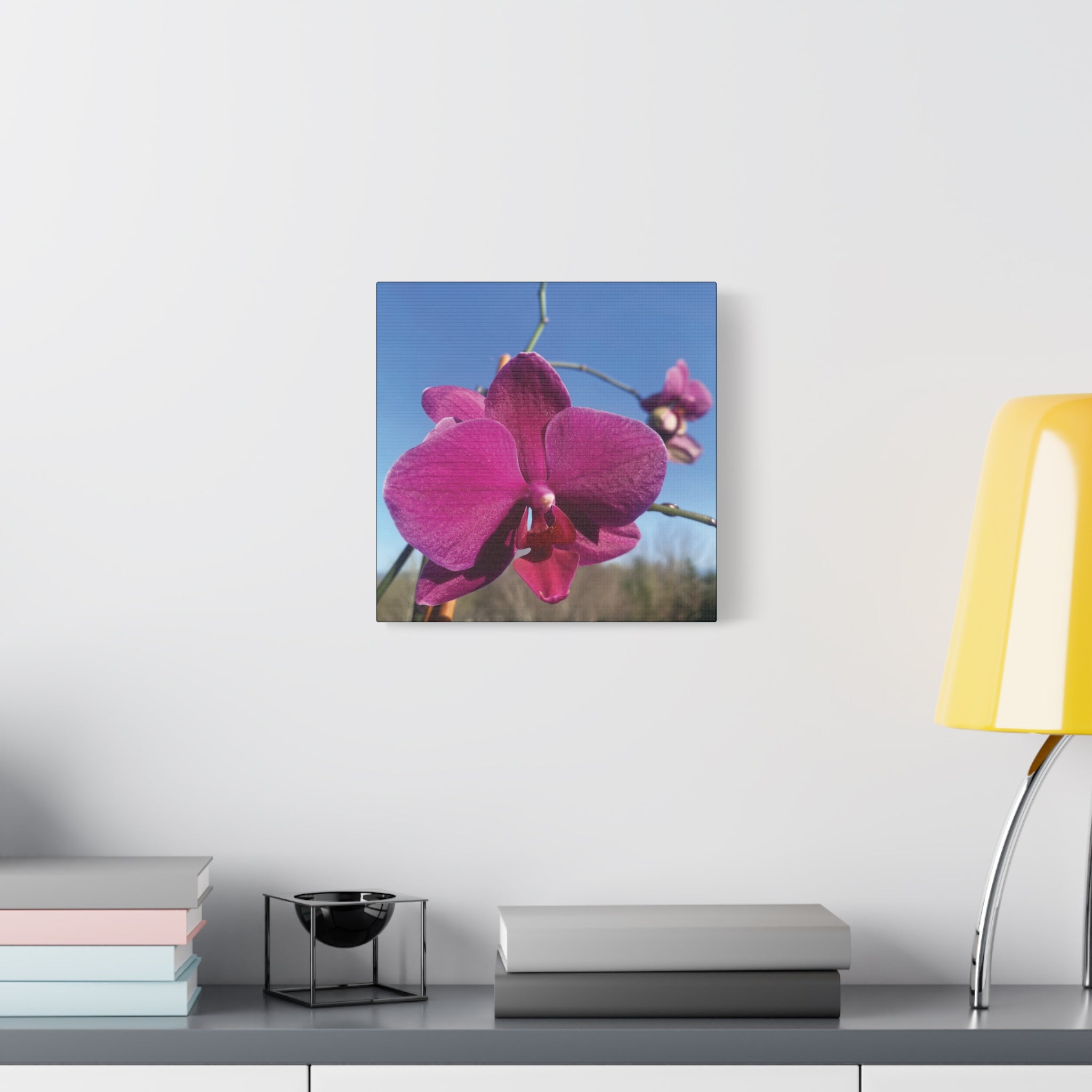 Fuchsia Orchid a Spring Photo Canvas Print — Matte Stretched 1.25"