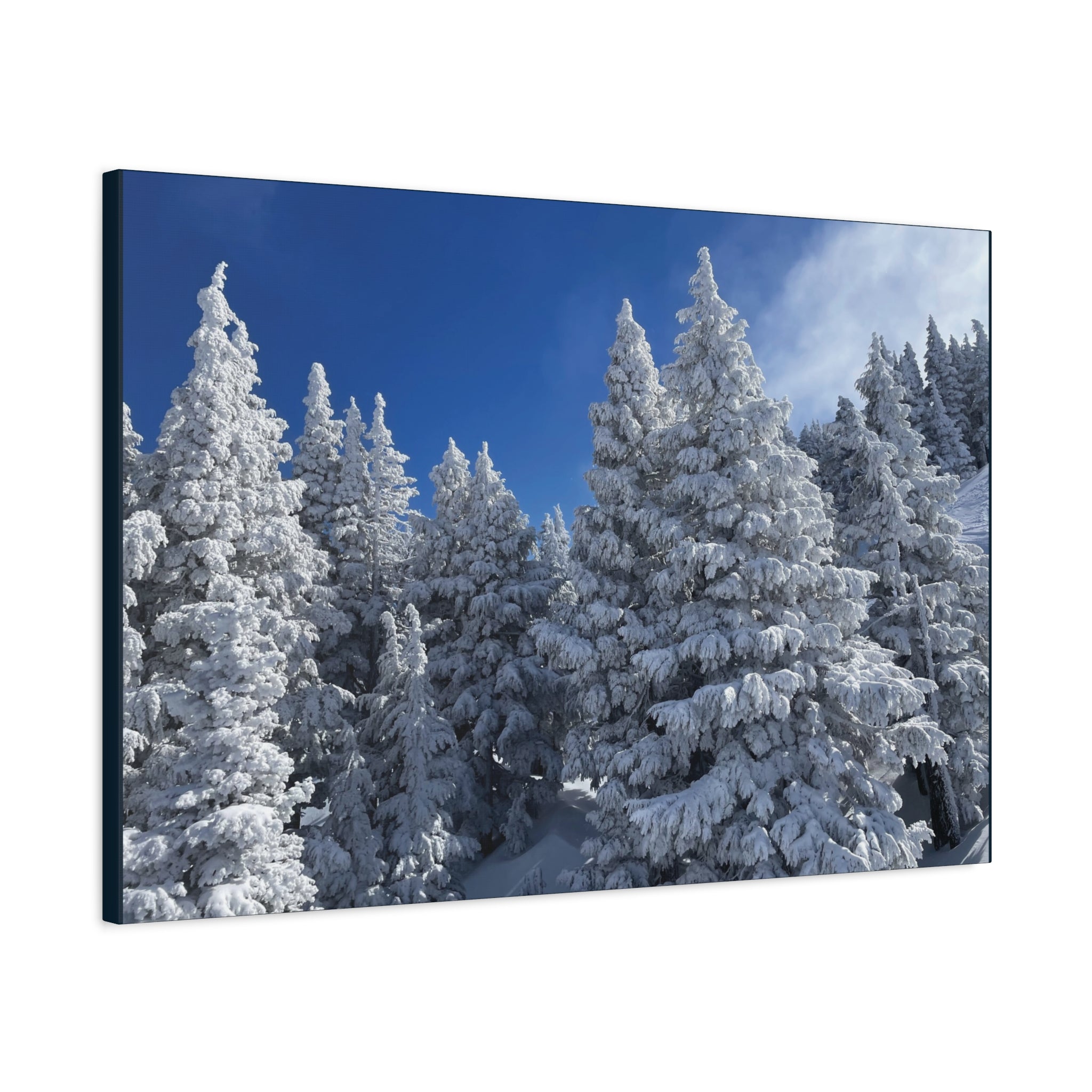 Oregon Alpine Photo Canvas Print — Matte Stretched 1.25" (March 25)