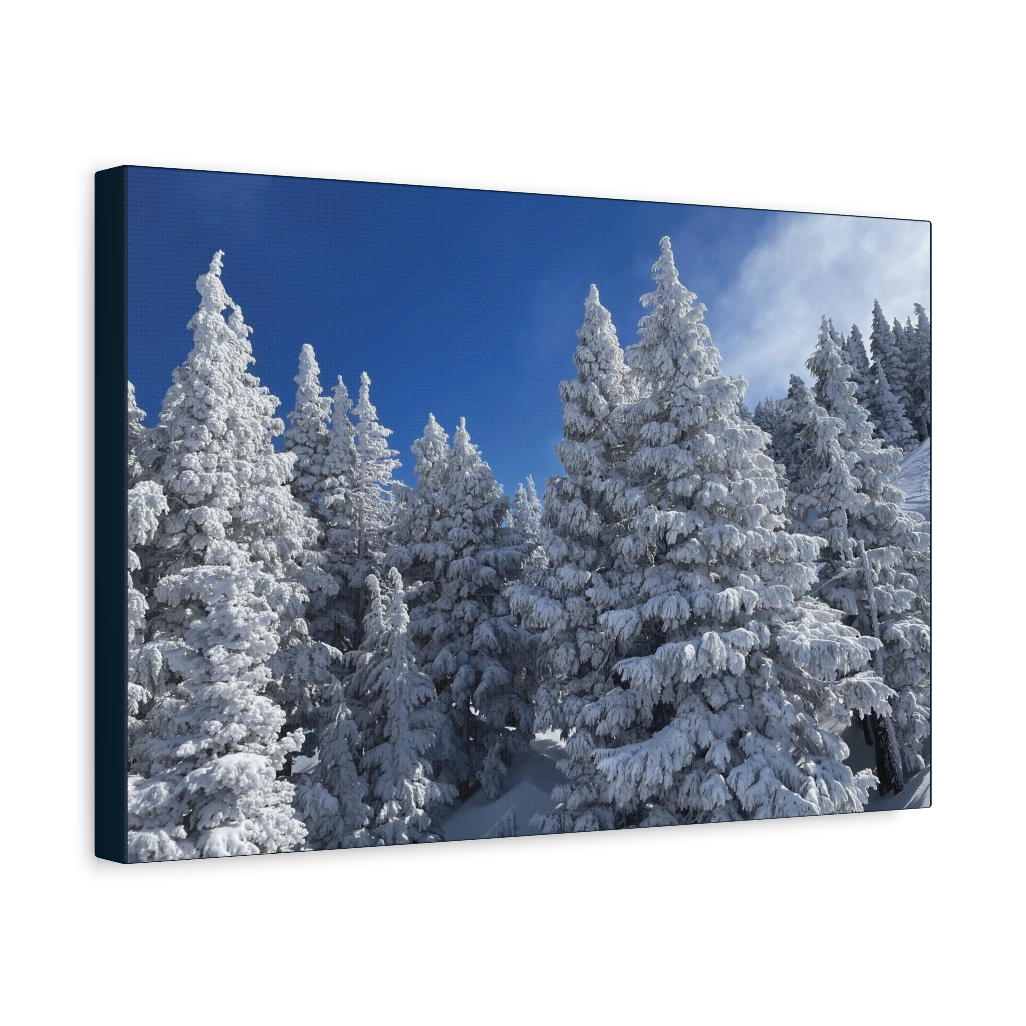 Oregon Alpine Photo Canvas Print — Matte Stretched 1.25" (March 25)
