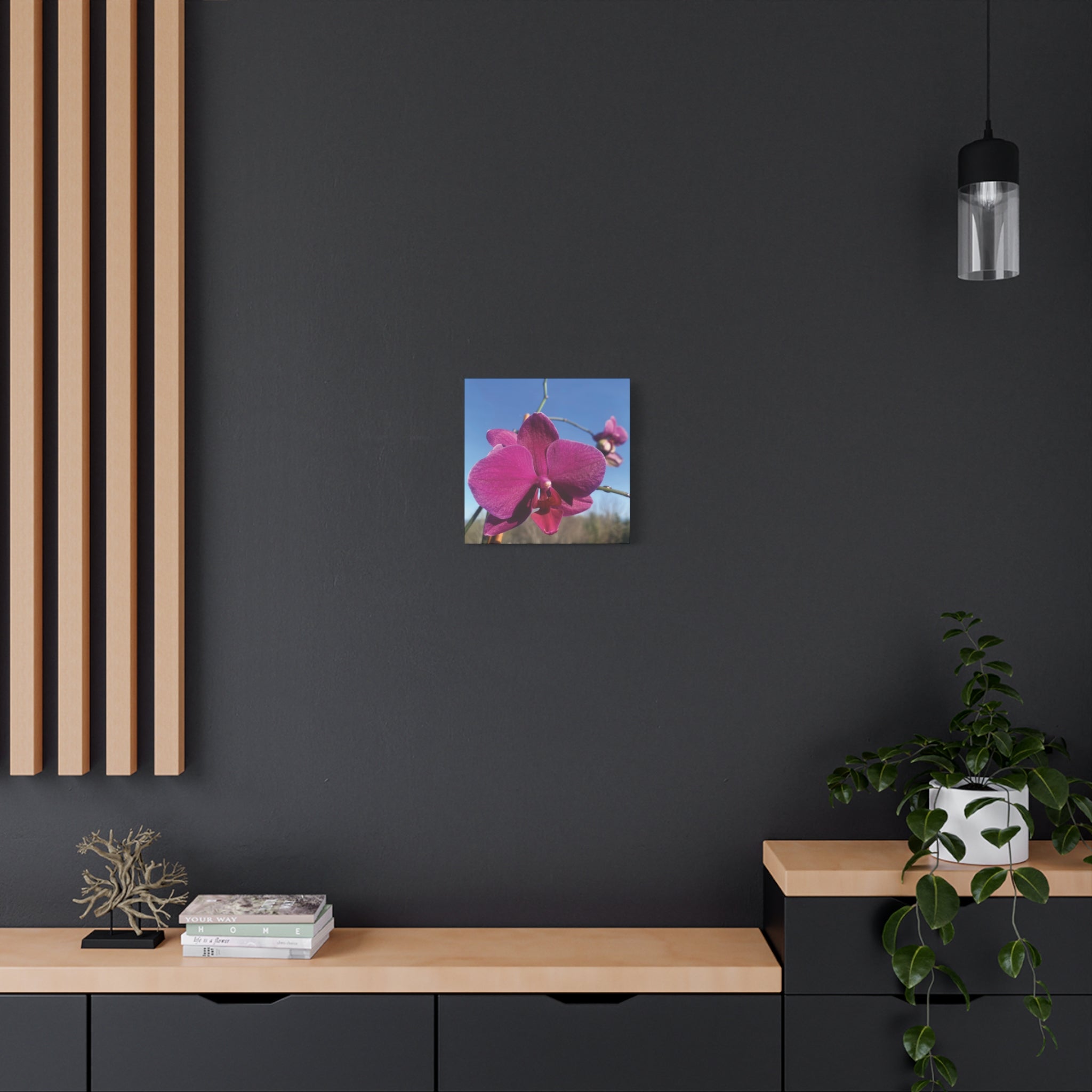 Fuchsia Orchid a Spring Photo Canvas Print — Matte Stretched 1.25"