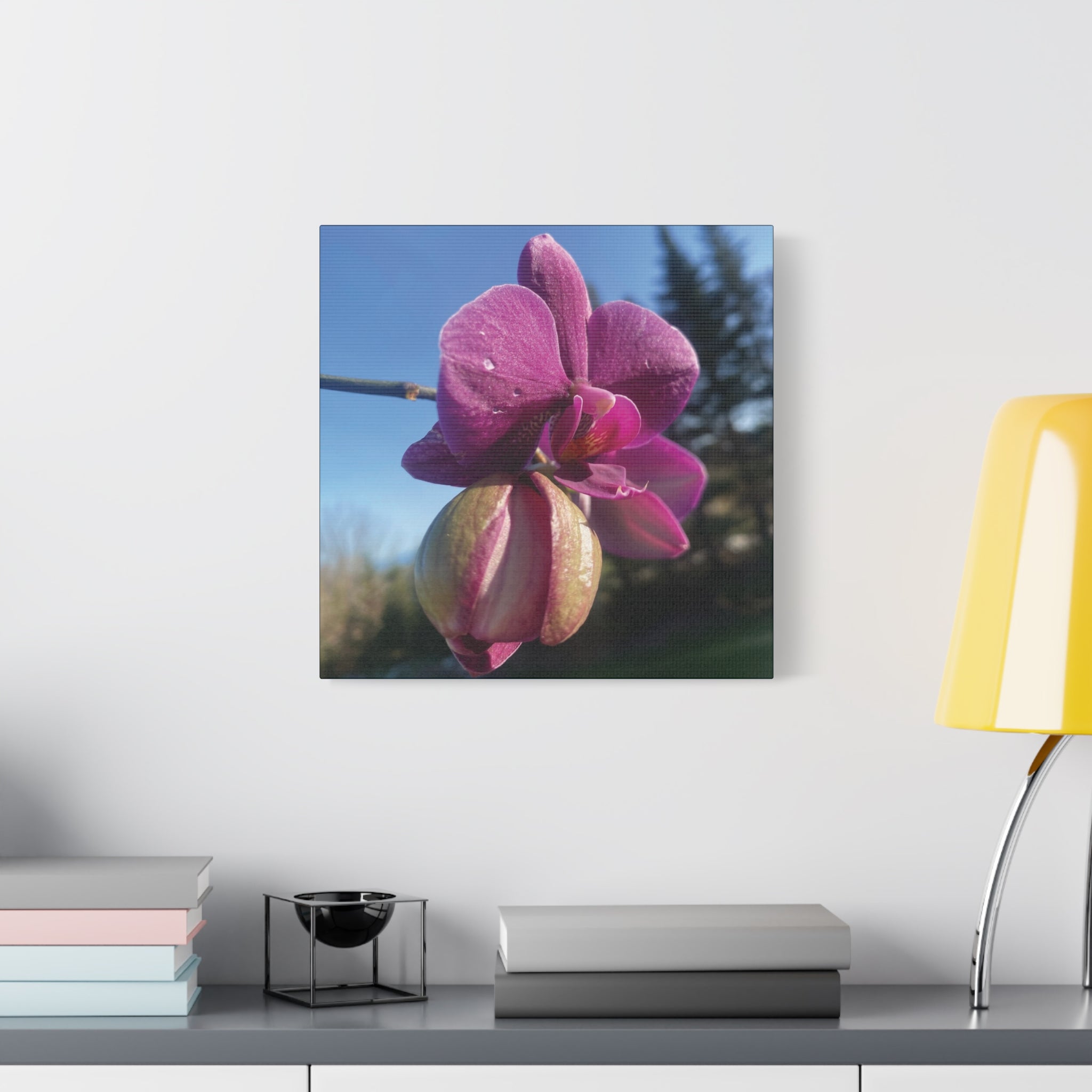 Fuchsia Orchid c Matte Canvas Wall Art — Stretched 1.25"