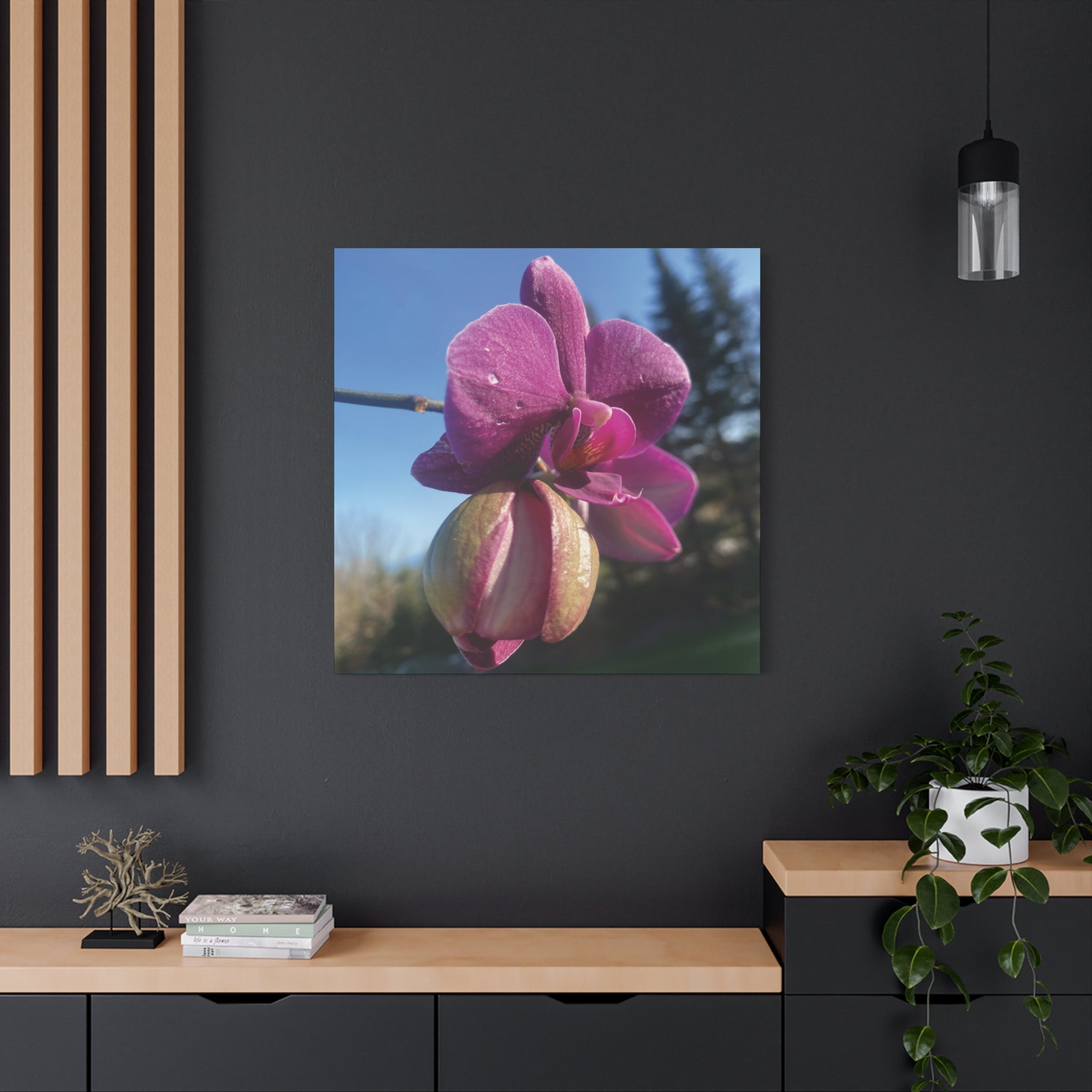 Fuchsia Orchid c Matte Canvas Wall Art — Stretched 1.25"