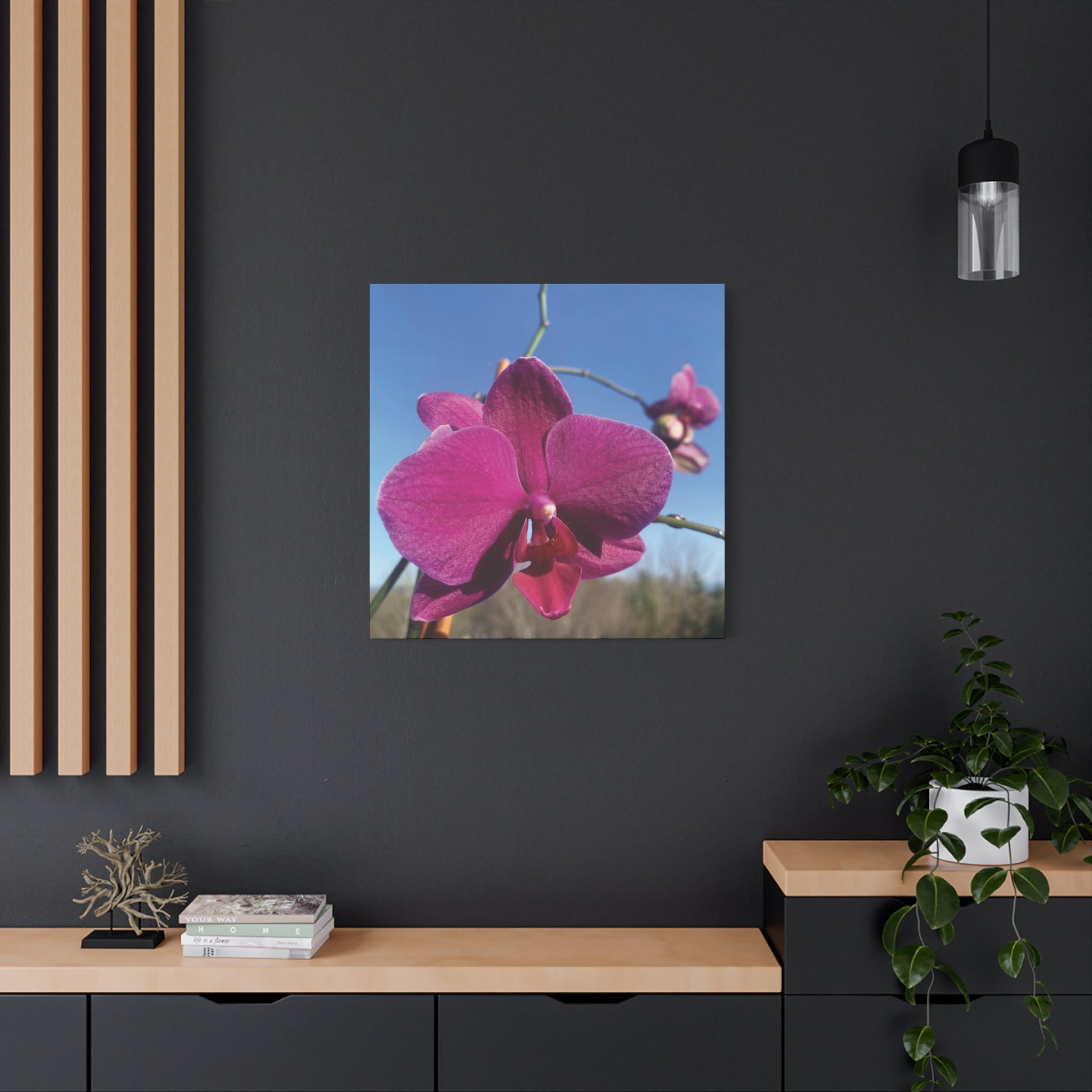 Fuchsia Orchid a Spring Photo Canvas Print — Matte Stretched 1.25"