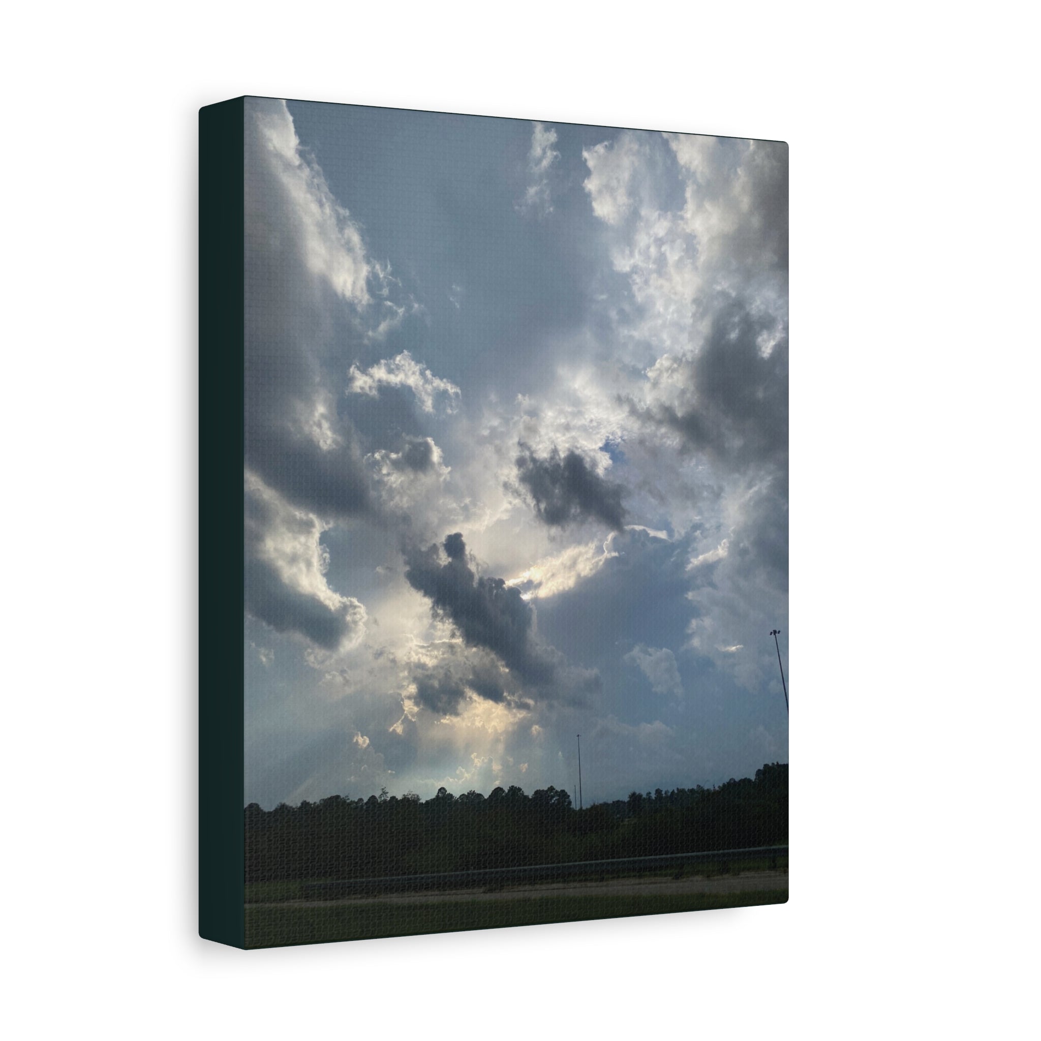 Florida Midday Photo Canvas Print — Matte Stretched Wall Art