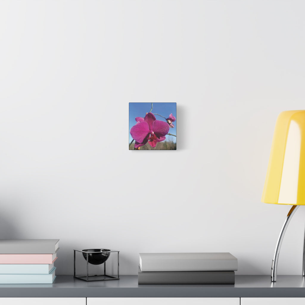 Fuchsia Orchid a Spring Photo Canvas Print — Matte Stretched 1.25"