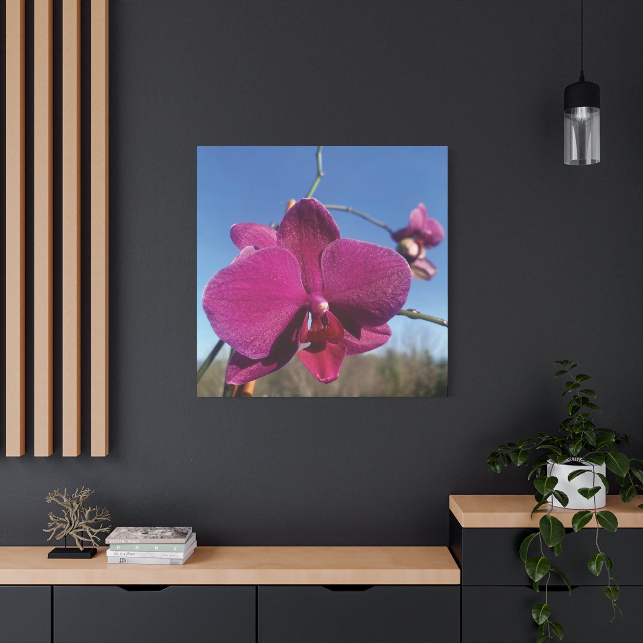 Fuchsia Orchid a Spring Photo Canvas Print — Matte Stretched 1.25"