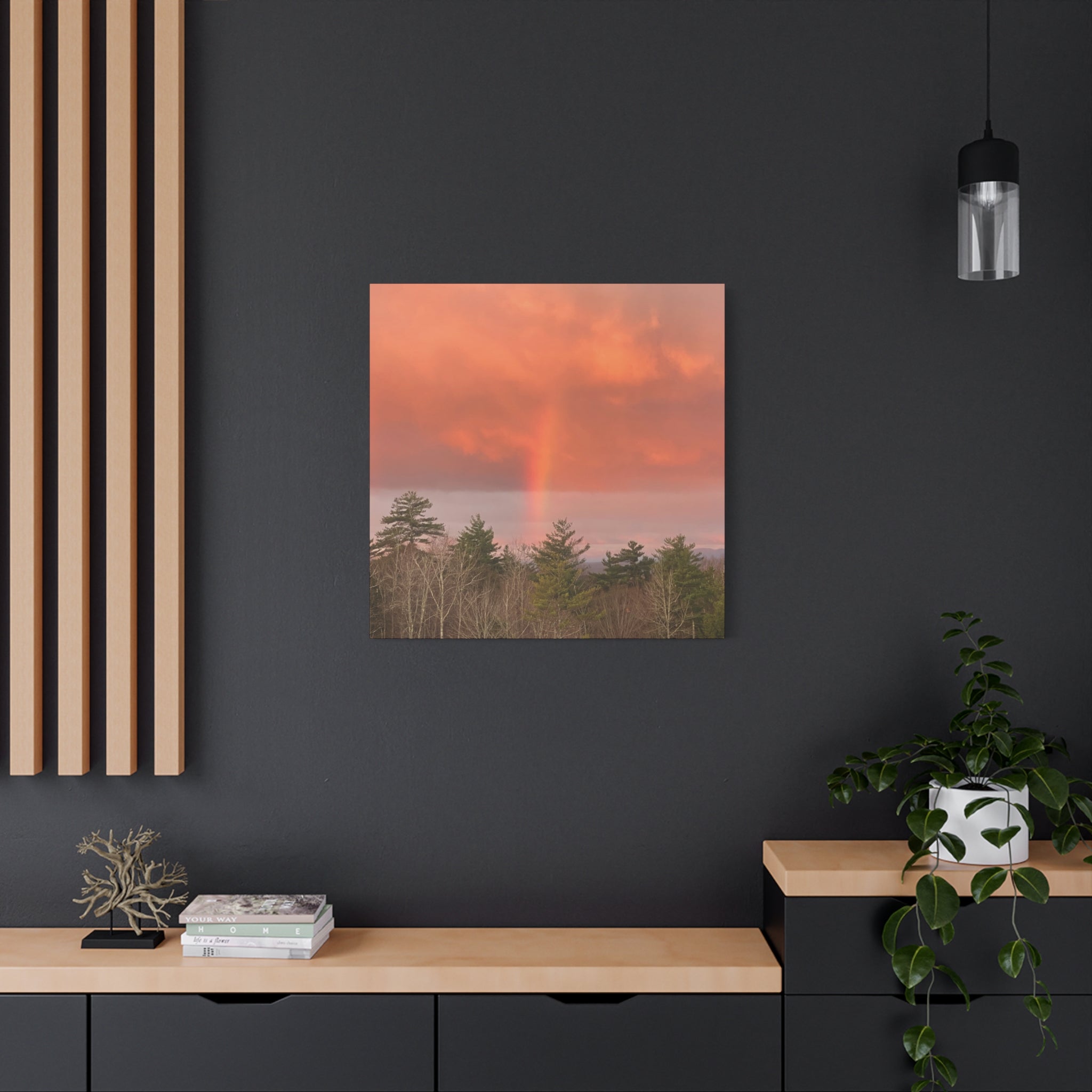 Rainbow b Canvas Print