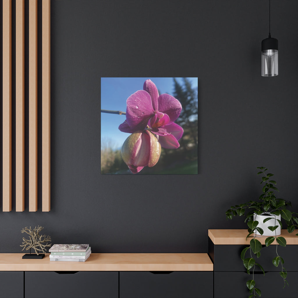 Fuchsia Orchid c Matte Canvas Wall Art — Stretched 1.25"