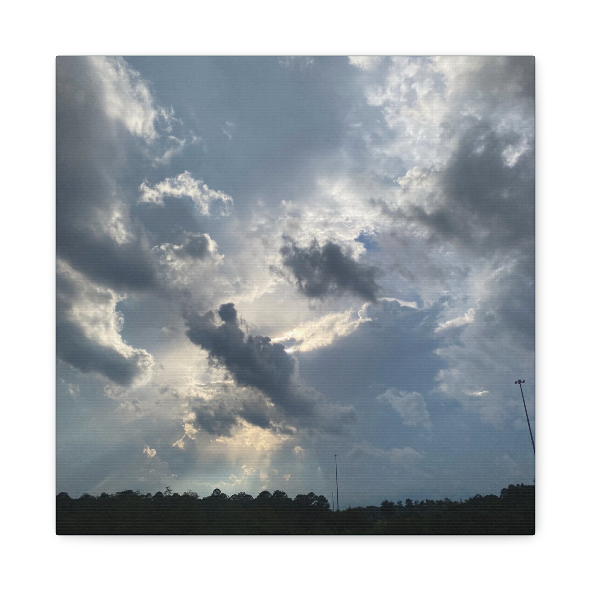 Florida Midday Photo Canvas Print — Matte Stretched Wall Art