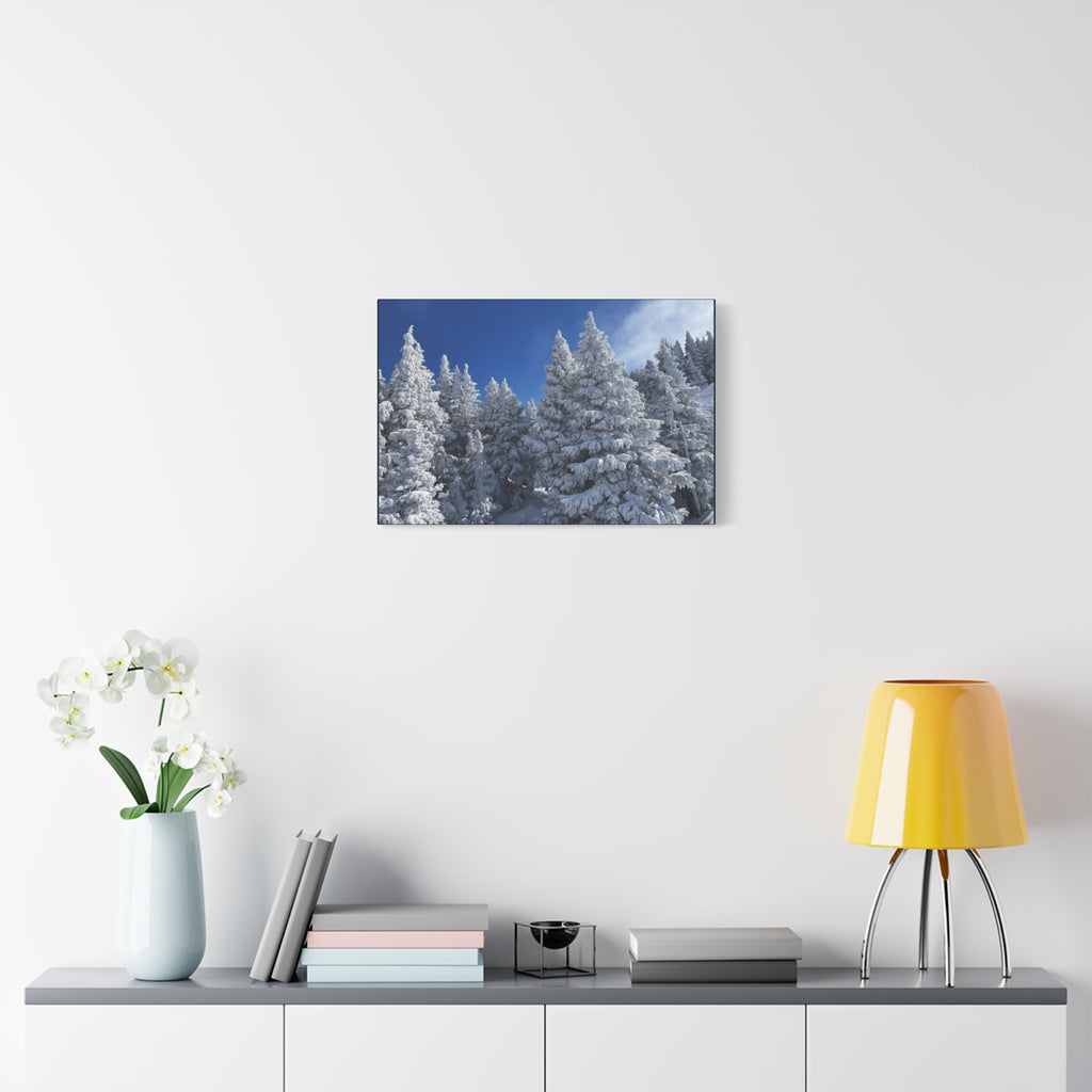 Oregon Alpine Photo Canvas Print — Matte Stretched 1.25" (March 25)