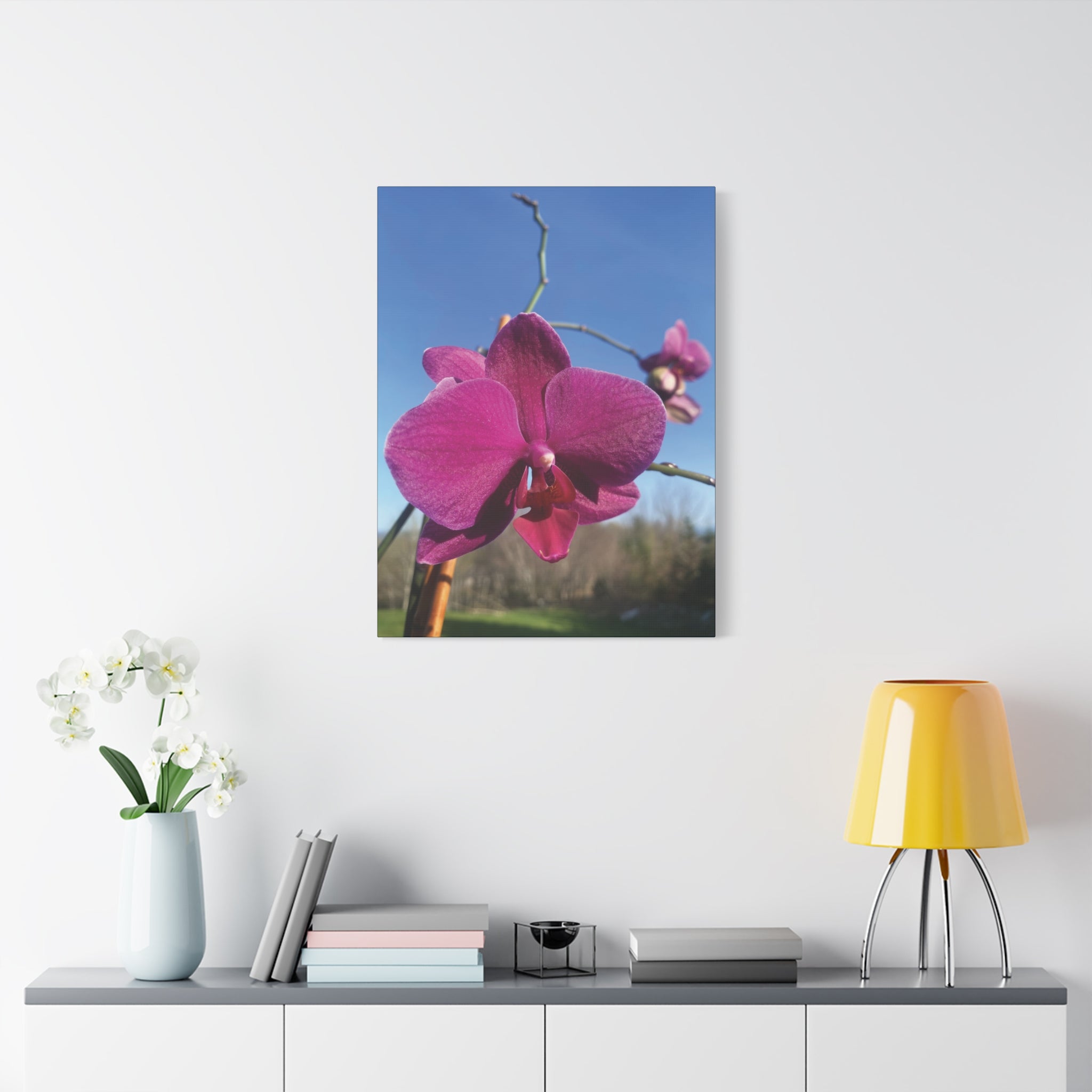 Fuchsia Orchid a Spring Photo Canvas Print — Matte Stretched 1.25"