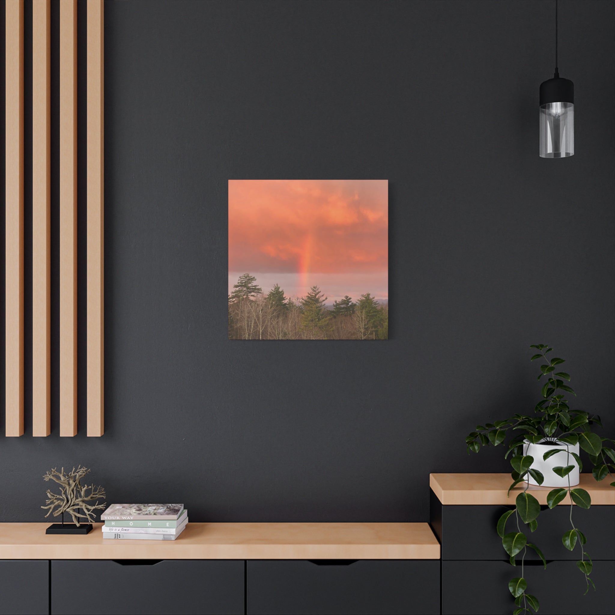 Rainbow b Canvas Print