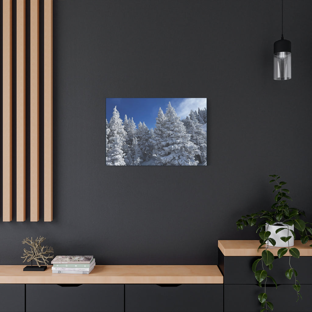 Oregon Alpine Photo Canvas Print — Matte Stretched 1.25" (March 25)