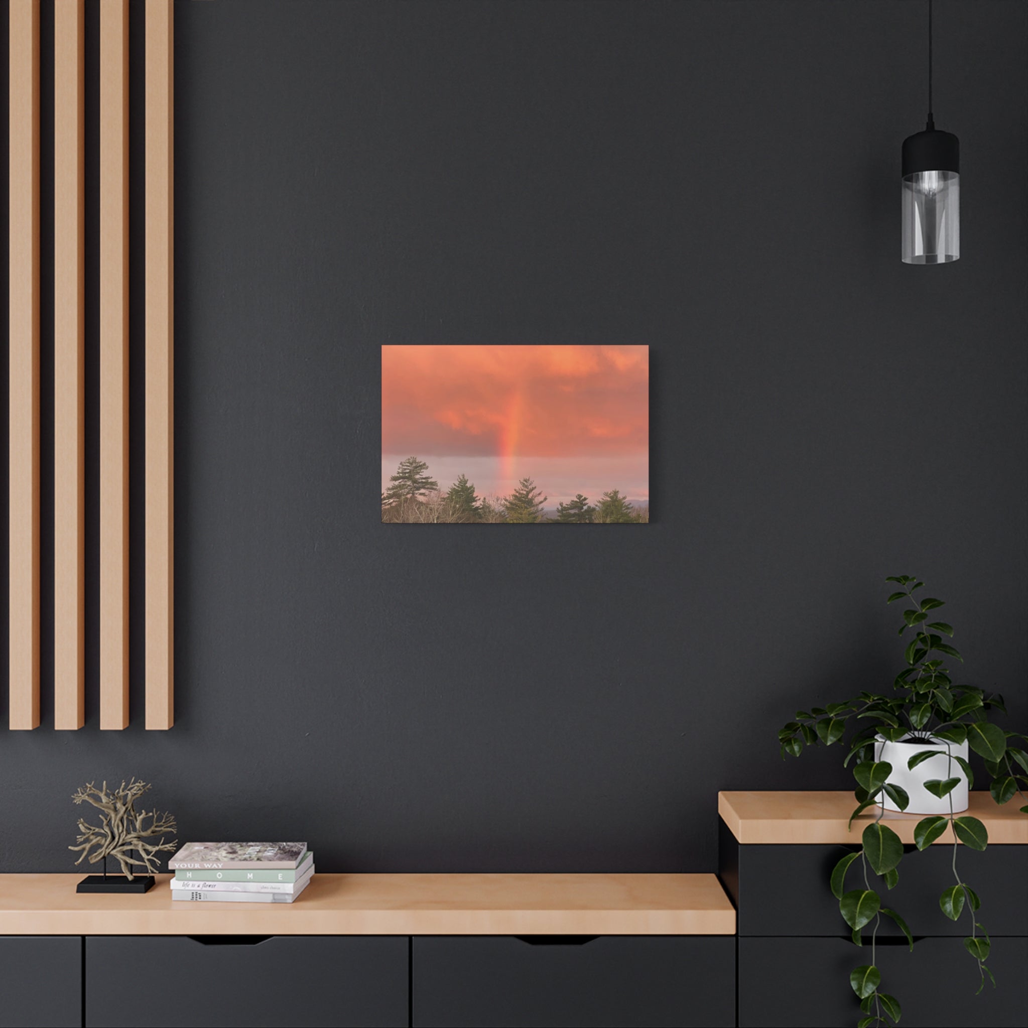 Rainbow b Canvas Print