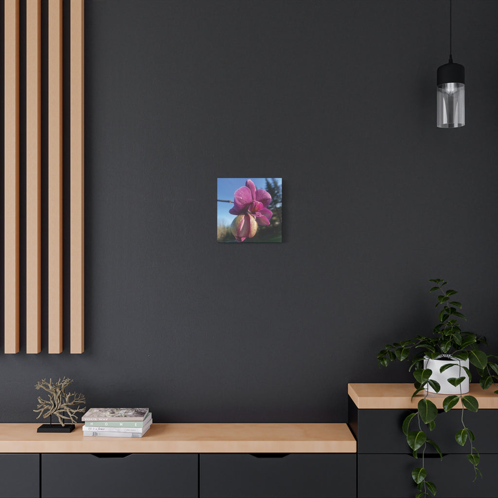 Fuchsia Orchid c Matte Canvas Wall Art — Stretched 1.25"