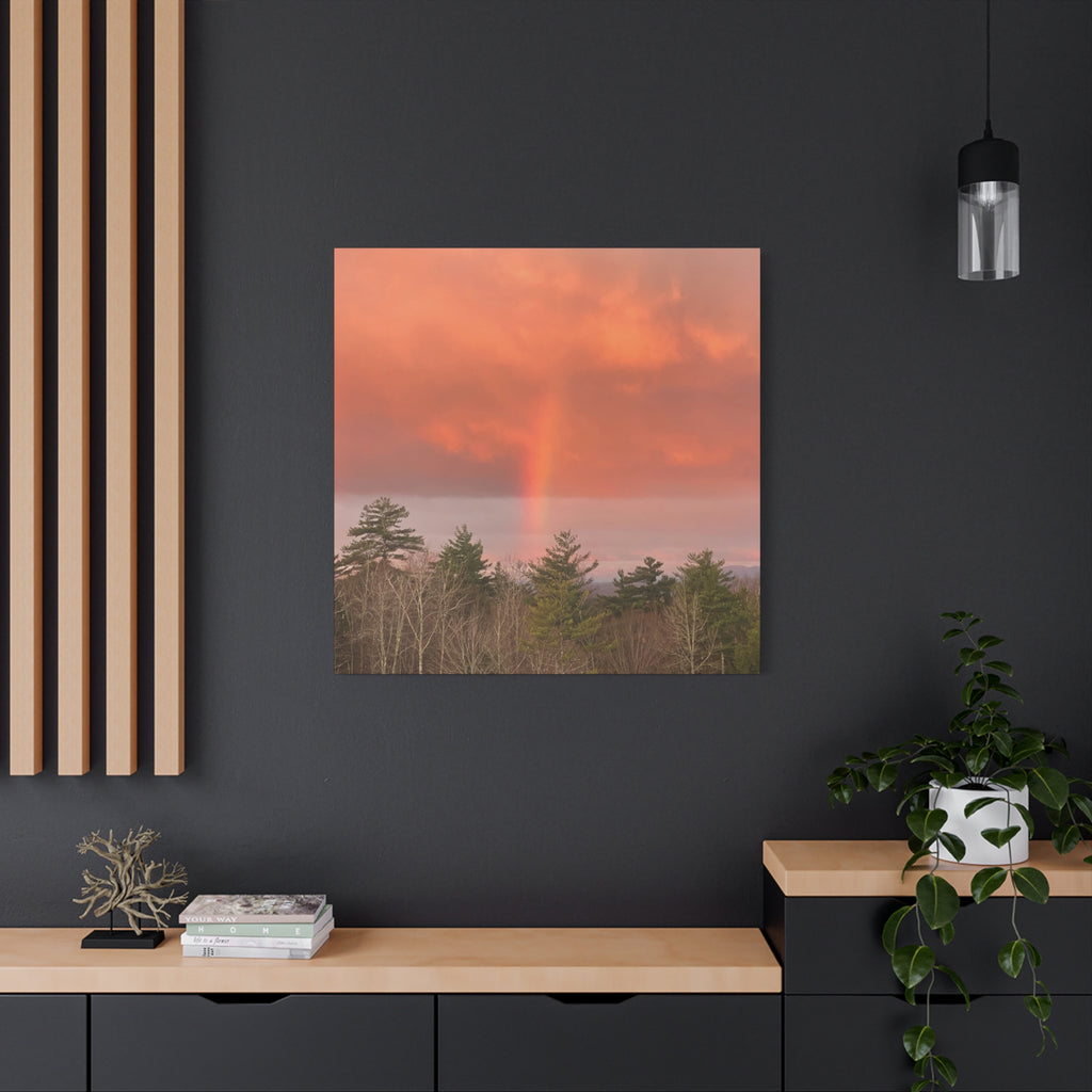 Rainbow b Canvas Print