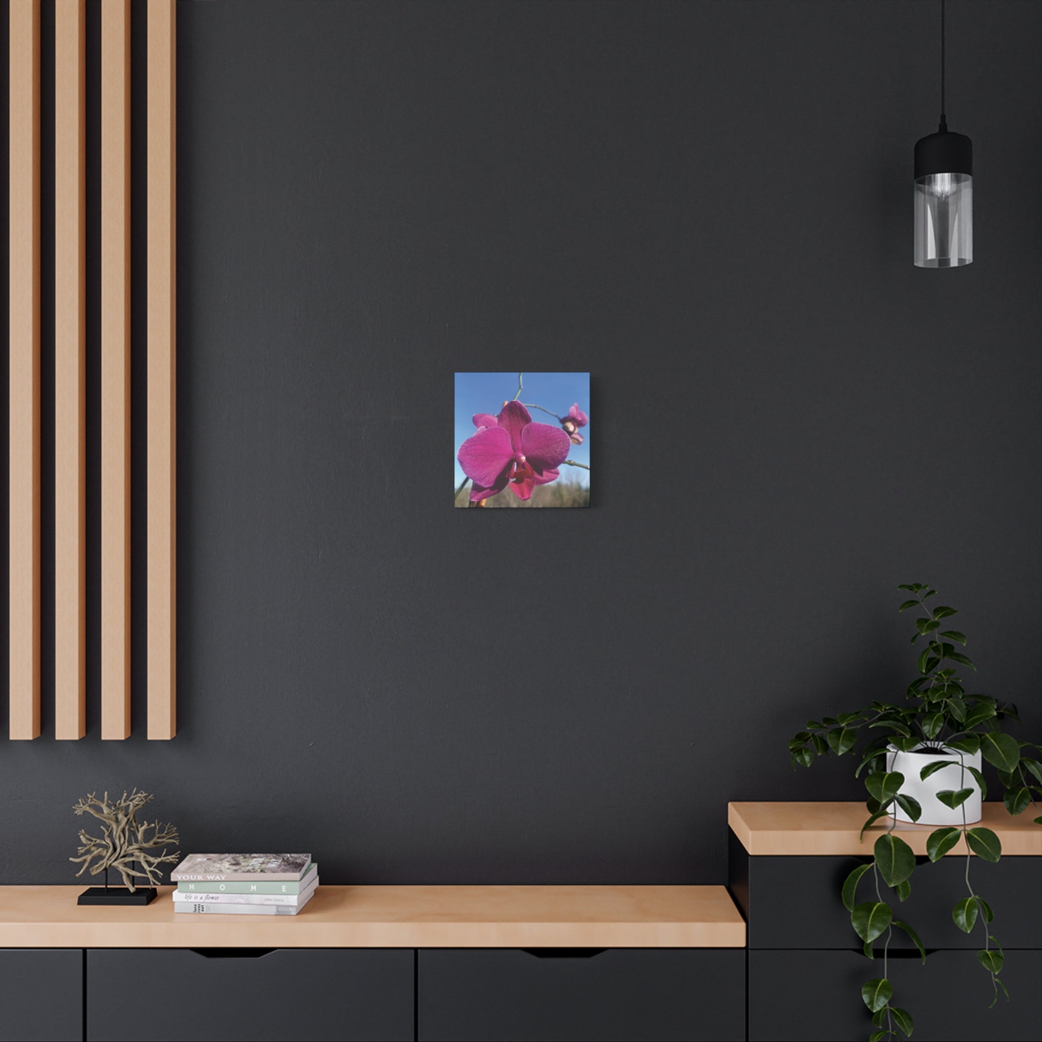 Fuchsia Orchid a Spring Photo Canvas Print — Matte Stretched 1.25"