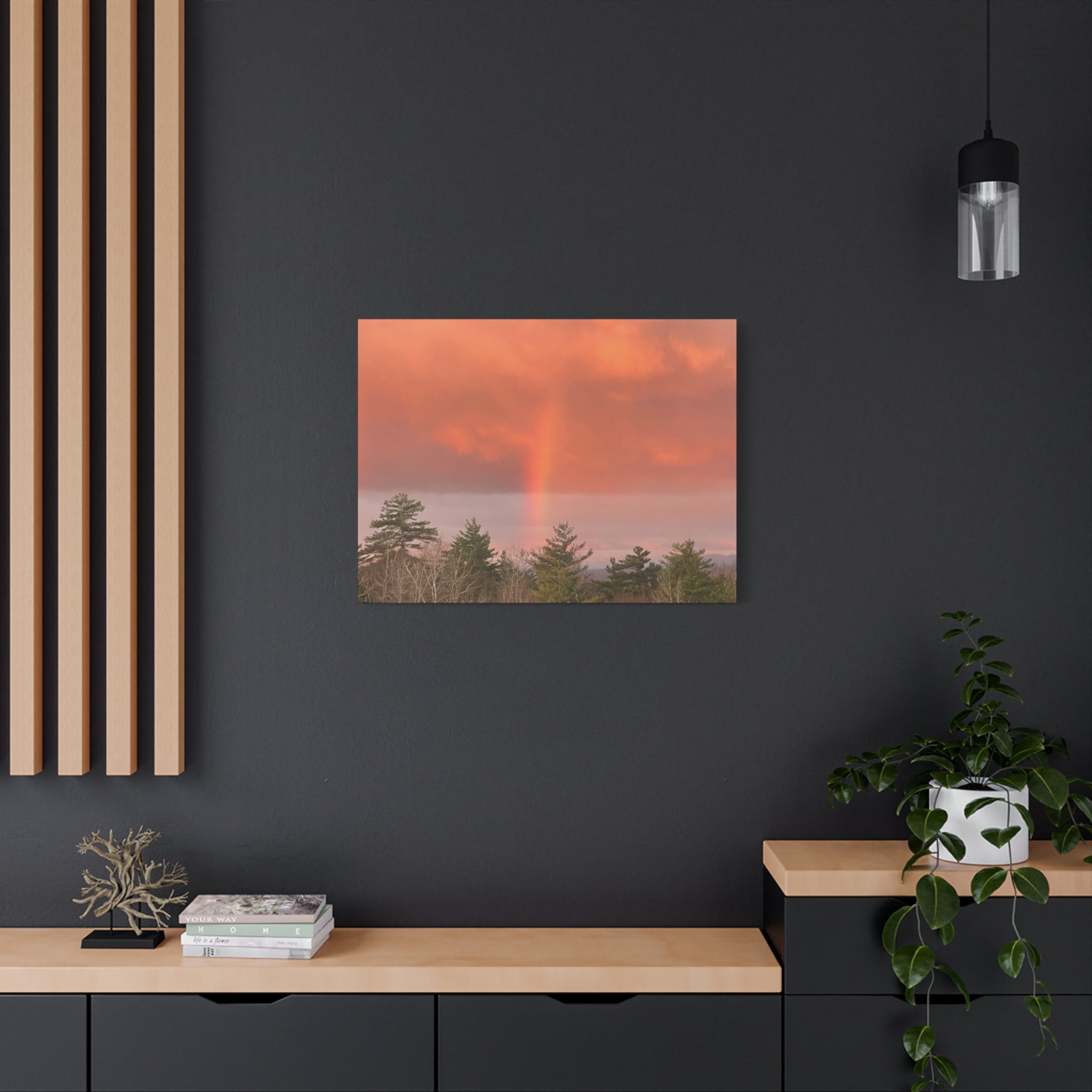 Rainbow b Canvas Print