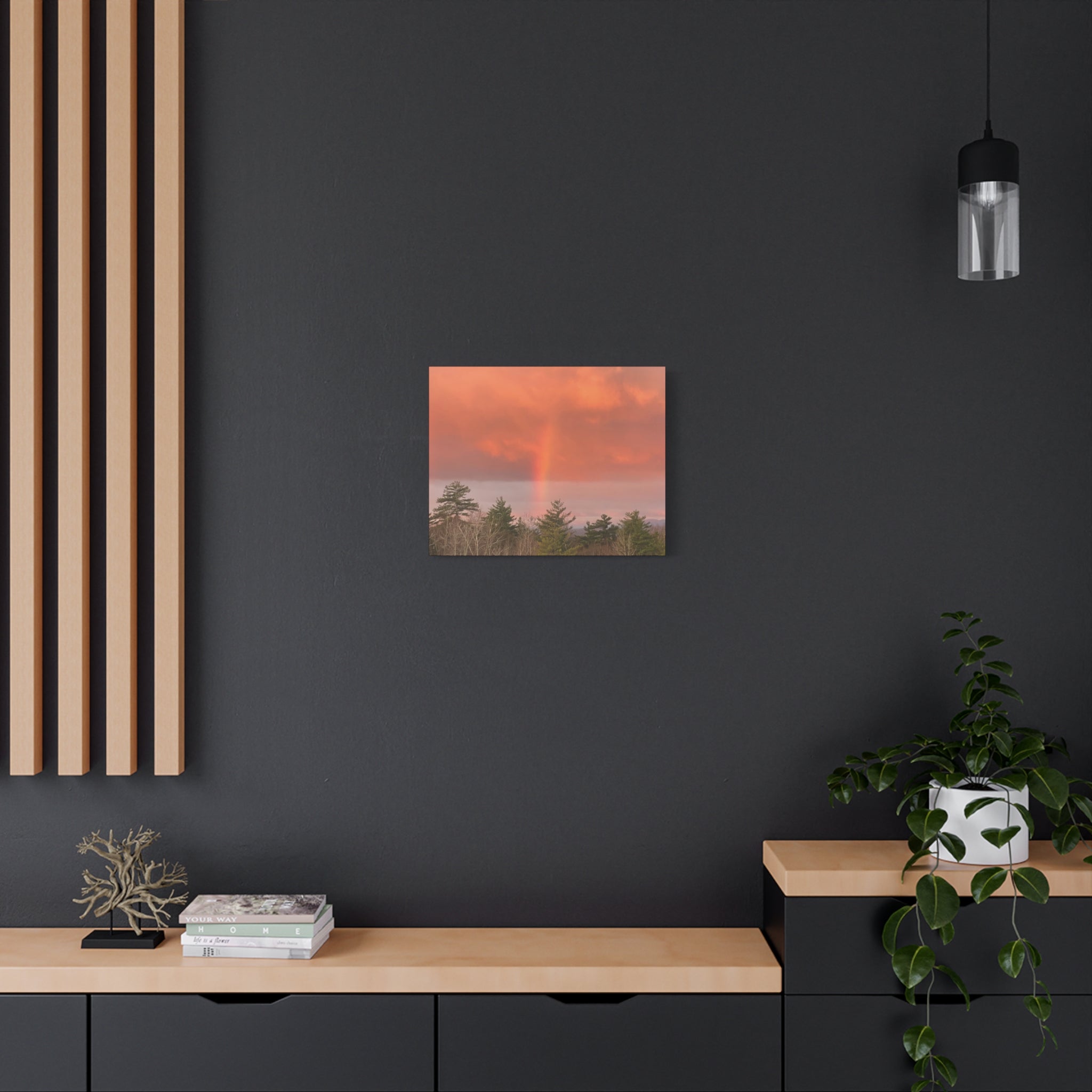 Rainbow b Canvas Print