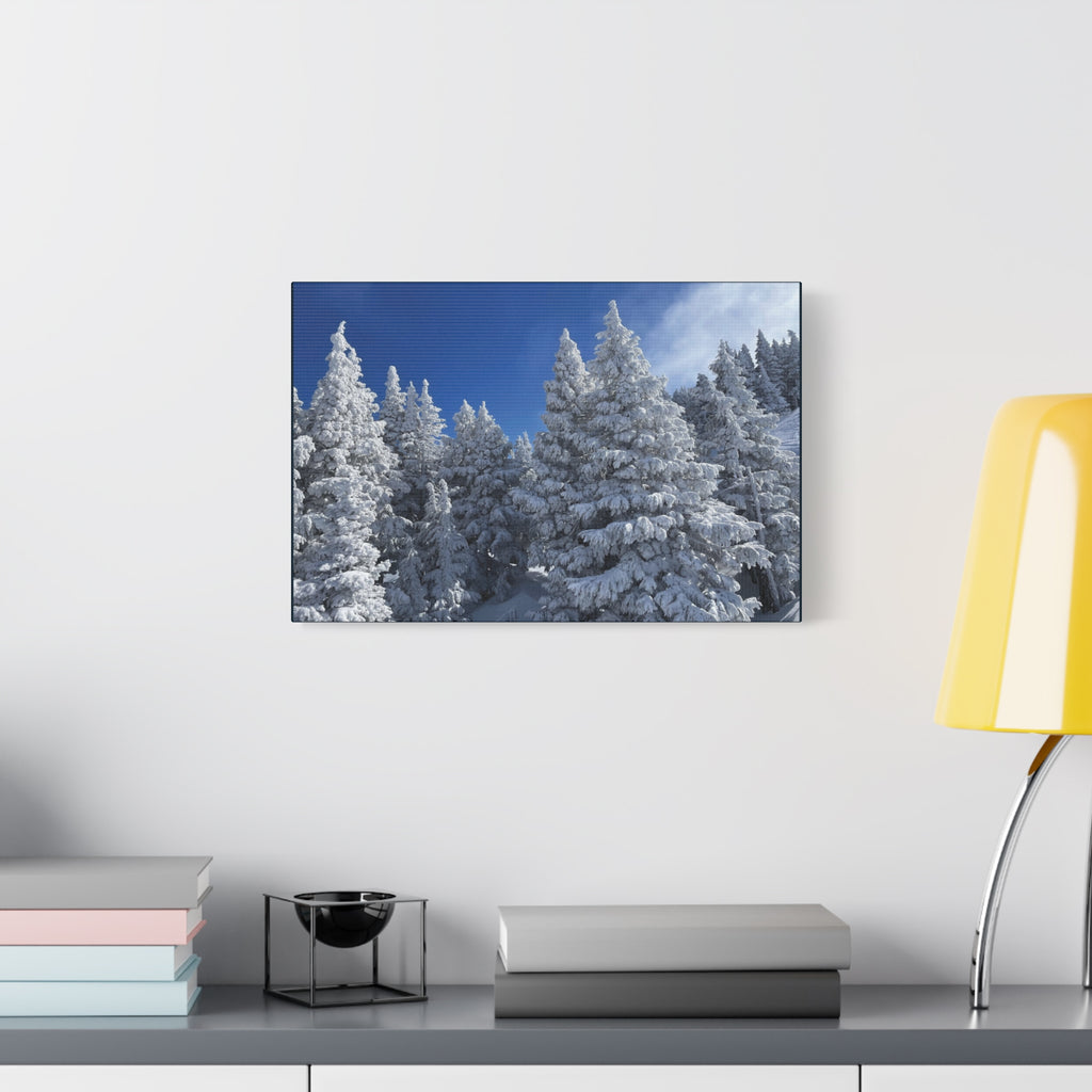 Oregon Alpine Photo Canvas Print — Matte Stretched 1.25" (March 25)