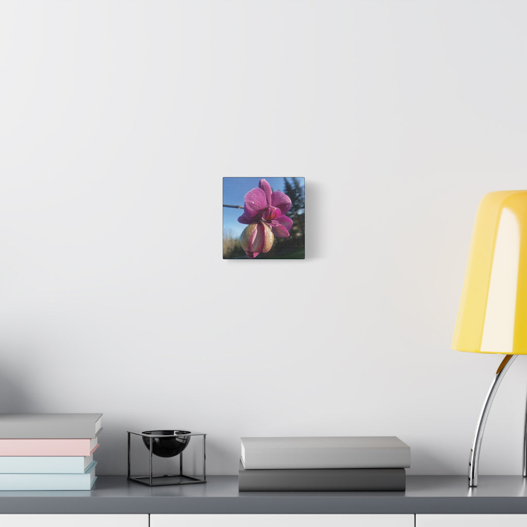Fuchsia Orchid c Matte Canvas Wall Art — Stretched 1.25"