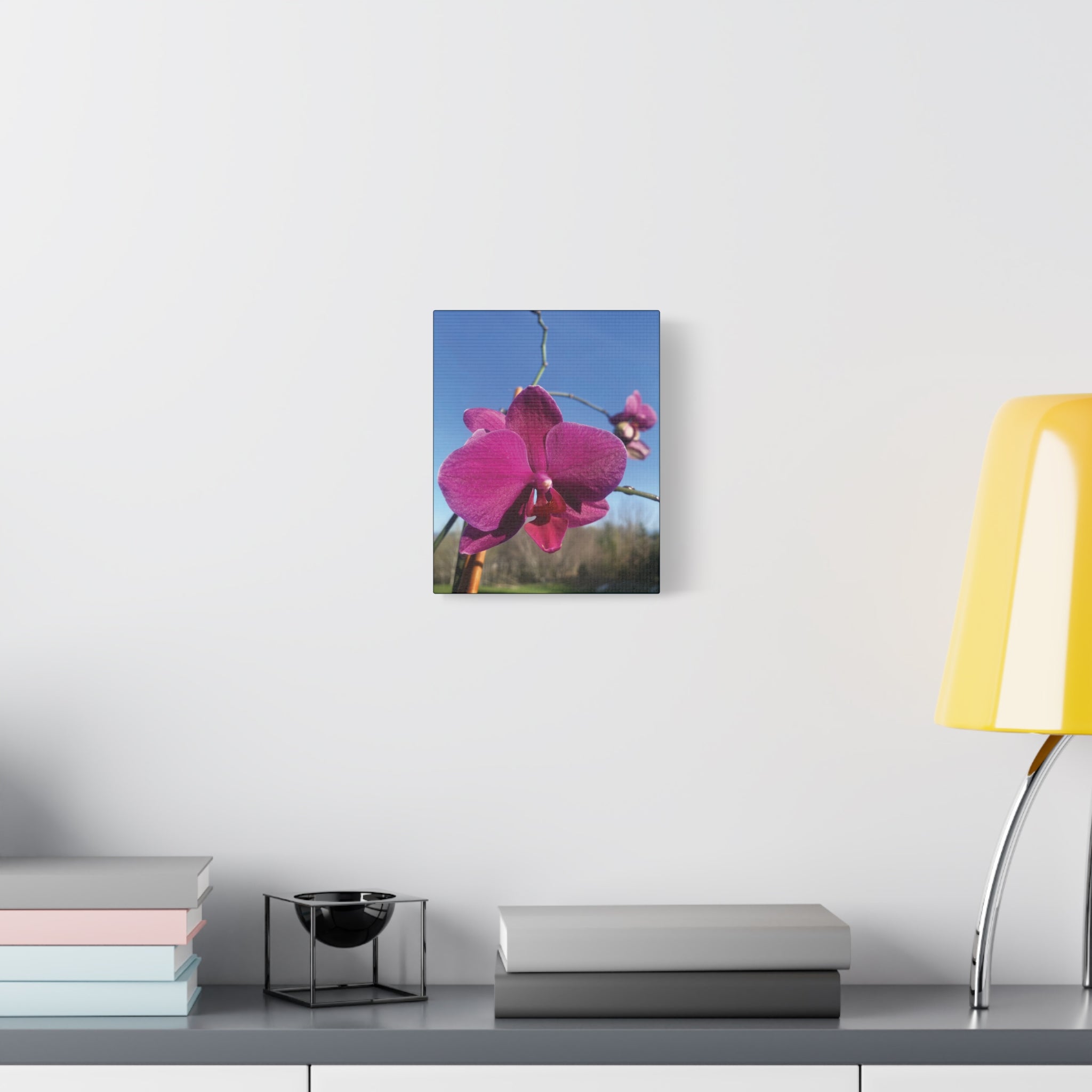 Fuchsia Orchid a Spring Photo Canvas Print — Matte Stretched 1.25"