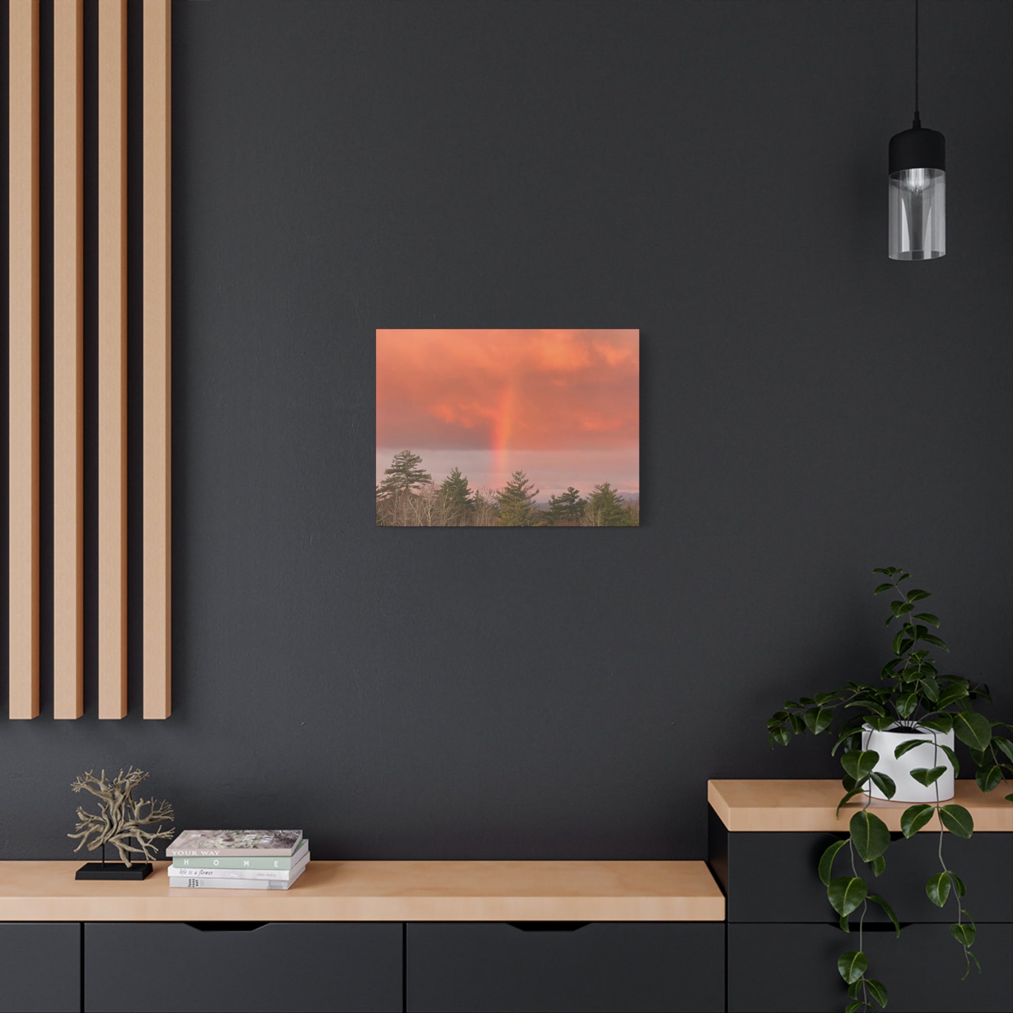 Rainbow b Canvas Print