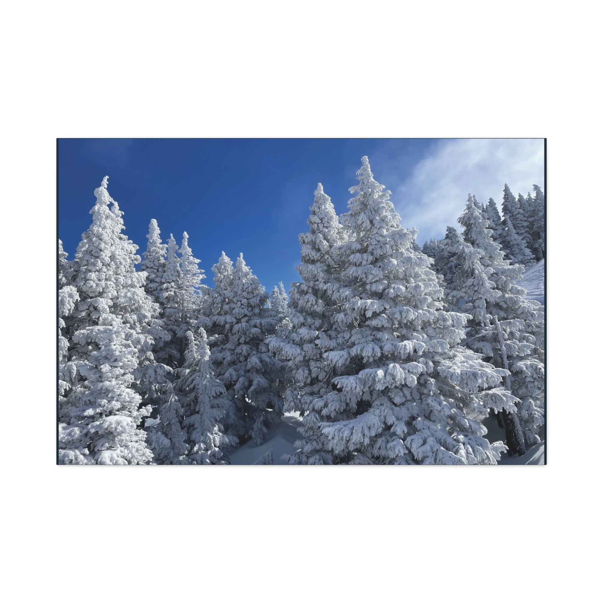 Oregon Alpine Photo Canvas Print — Matte Stretched 1.25" (March 25)